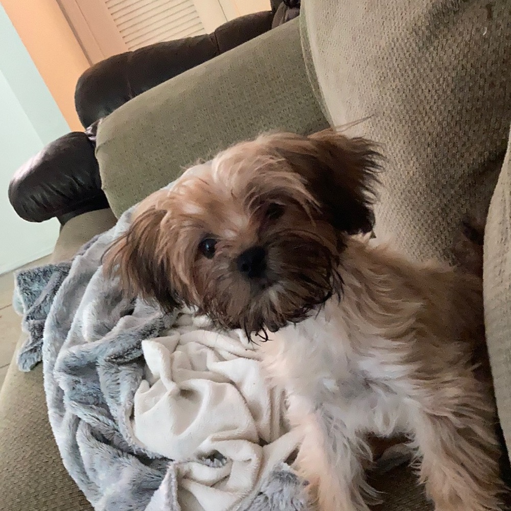 Meet your Posher, Jill